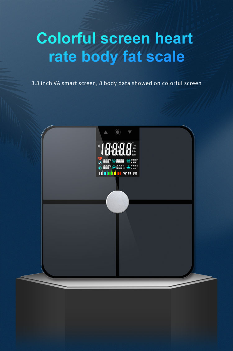 Composición del peso corporal BMI Smart Scale